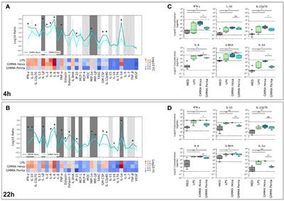 Dissecting in Vitro the Activation of Human Immune Response Induced by Shigella sonnei GMMA